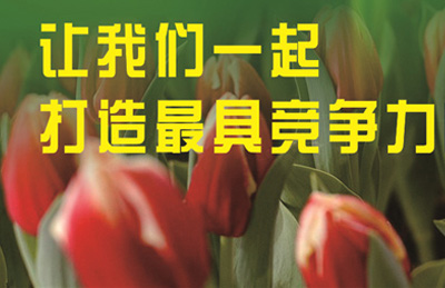上海网站建设
