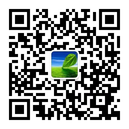 上海网站建设